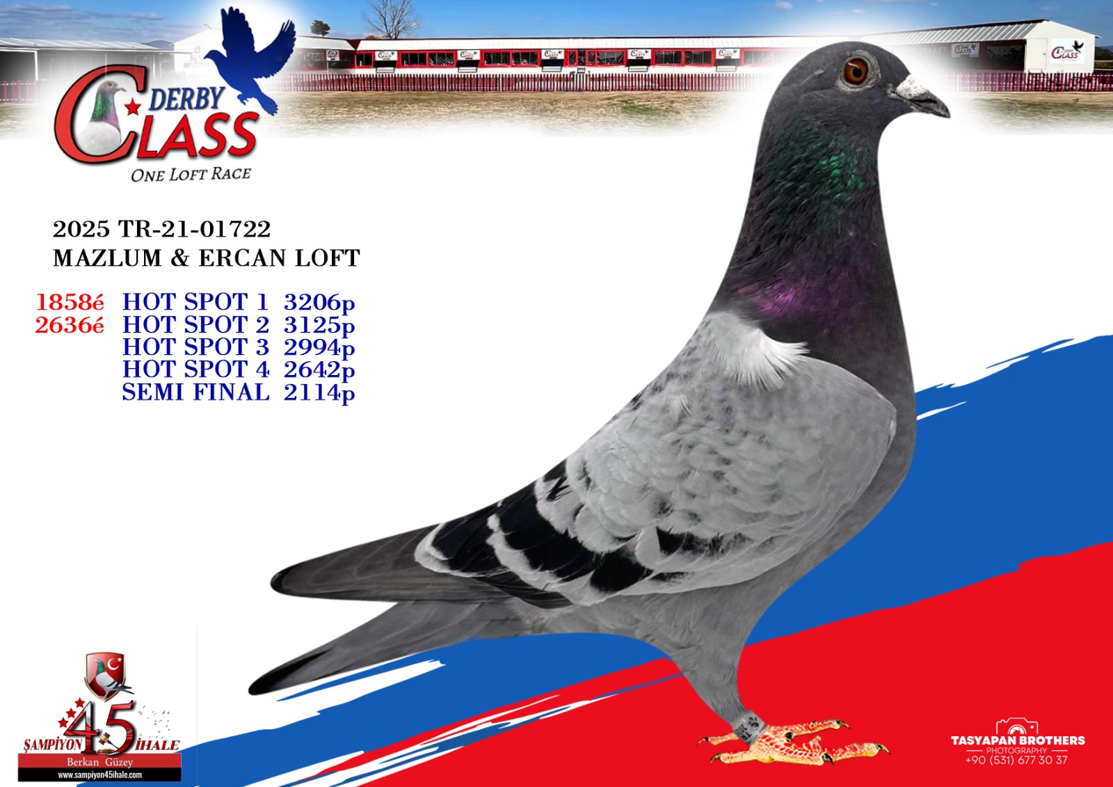 TR-21-01722 MAZLUM ERCAN LOFT