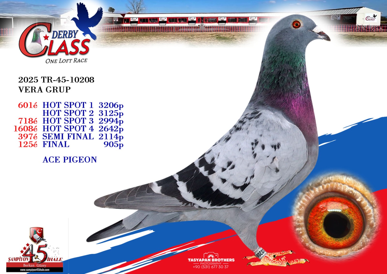 TR-45-10208 VERA GRUP