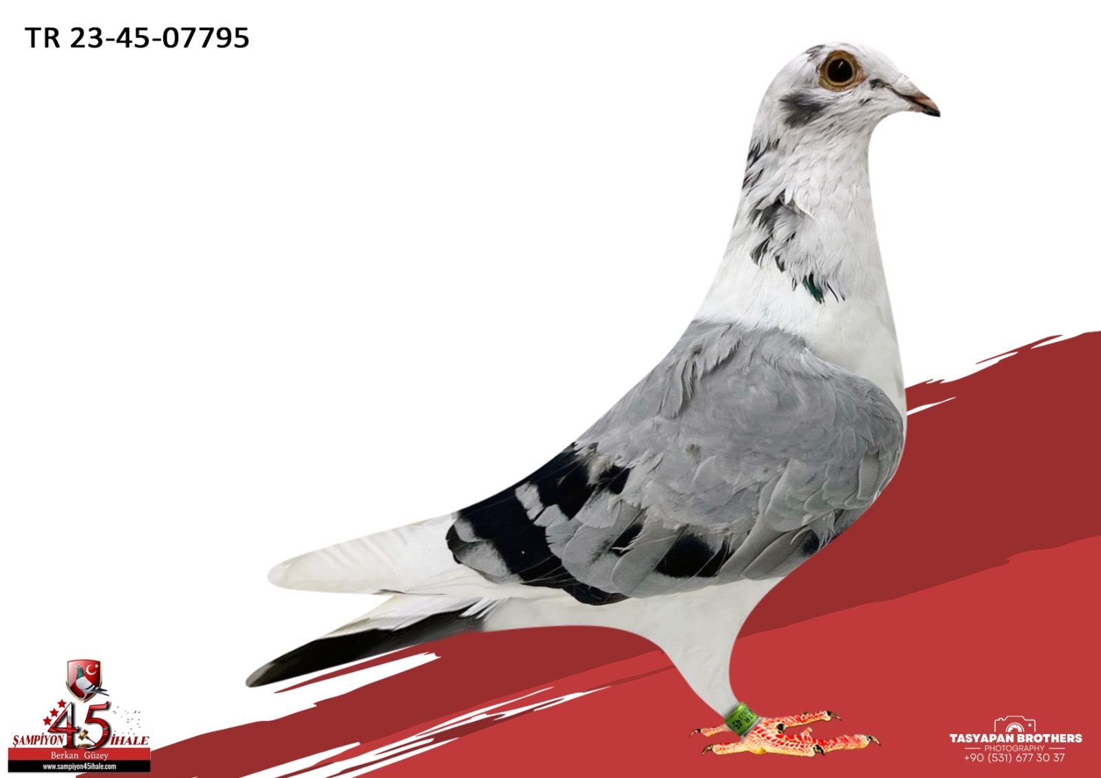 TR-23-45-07795 ORG METİN KUYUCUGİL 