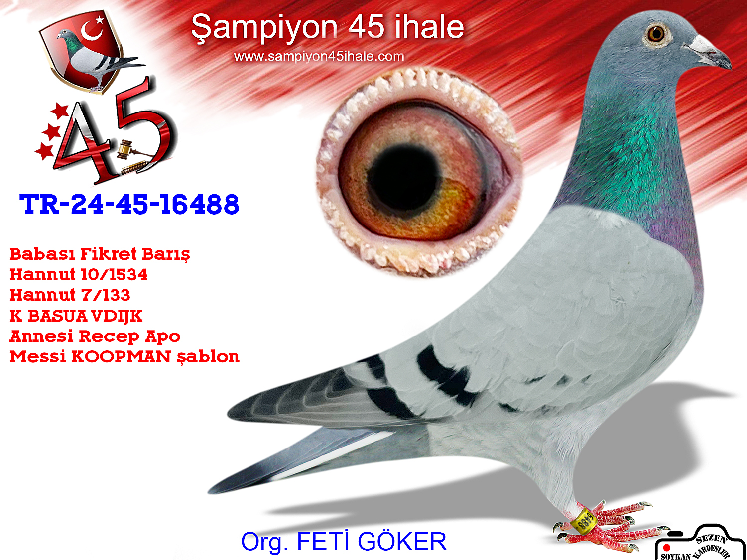 TR-24-45-16488 ERKEK 