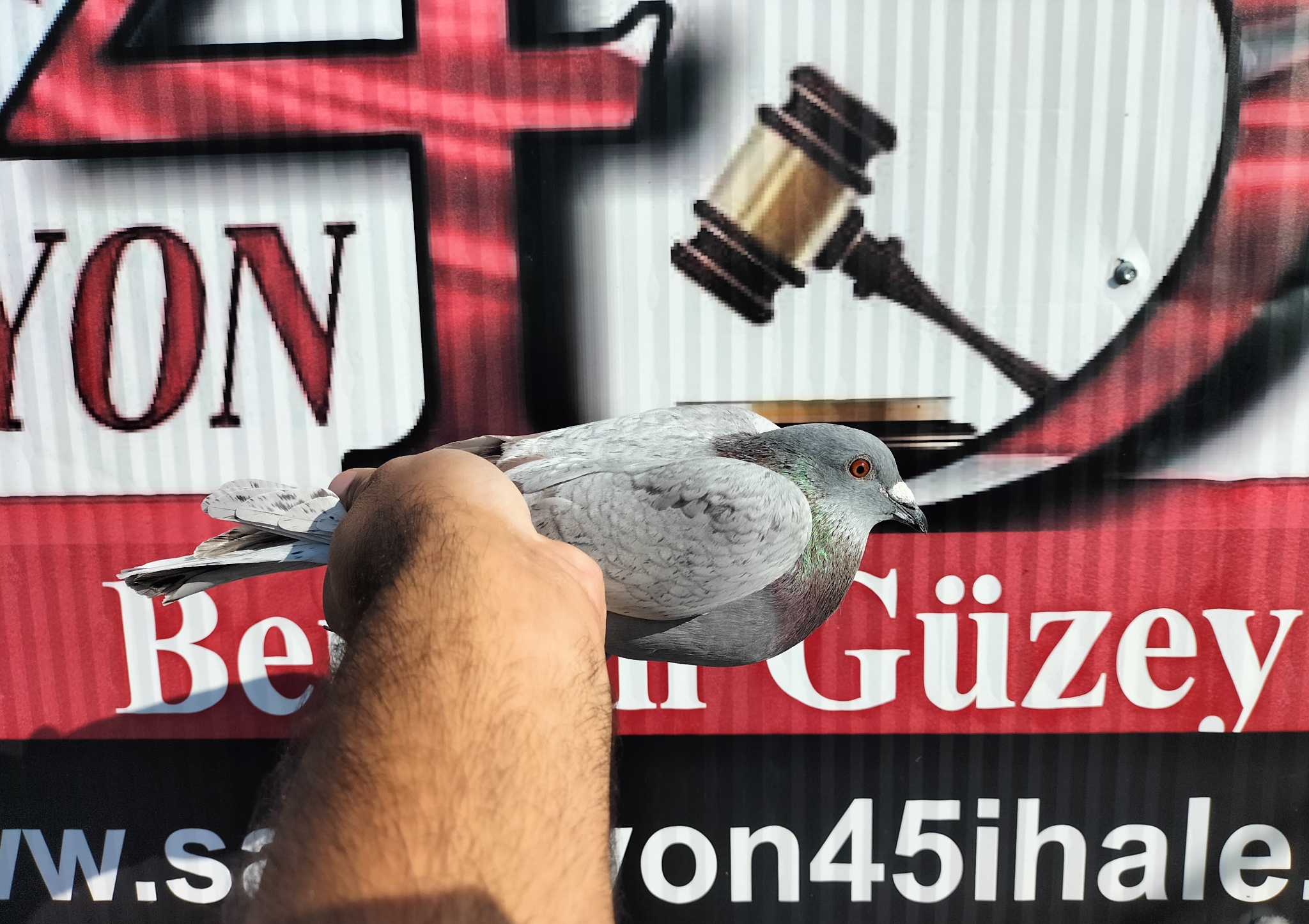 TR-24-35-04650 HOREMANS 