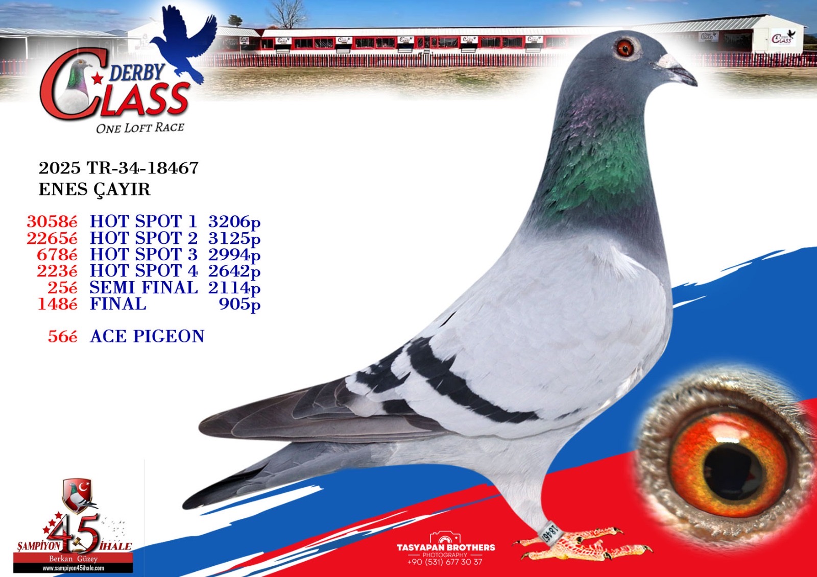 TR-34-18467 ENES ÇAYIR