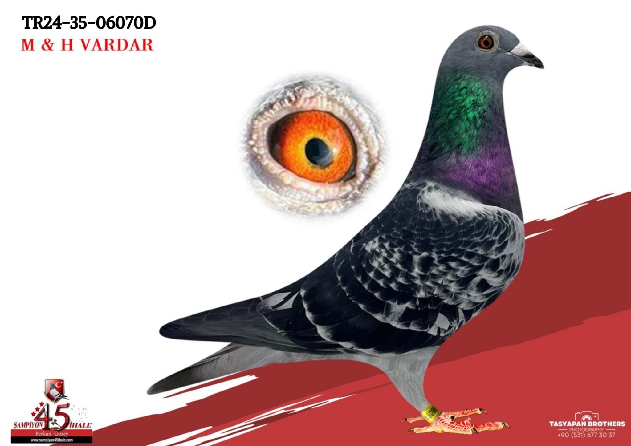 TR-24-35-06070 M & H VARDAR KARDEŞLER 