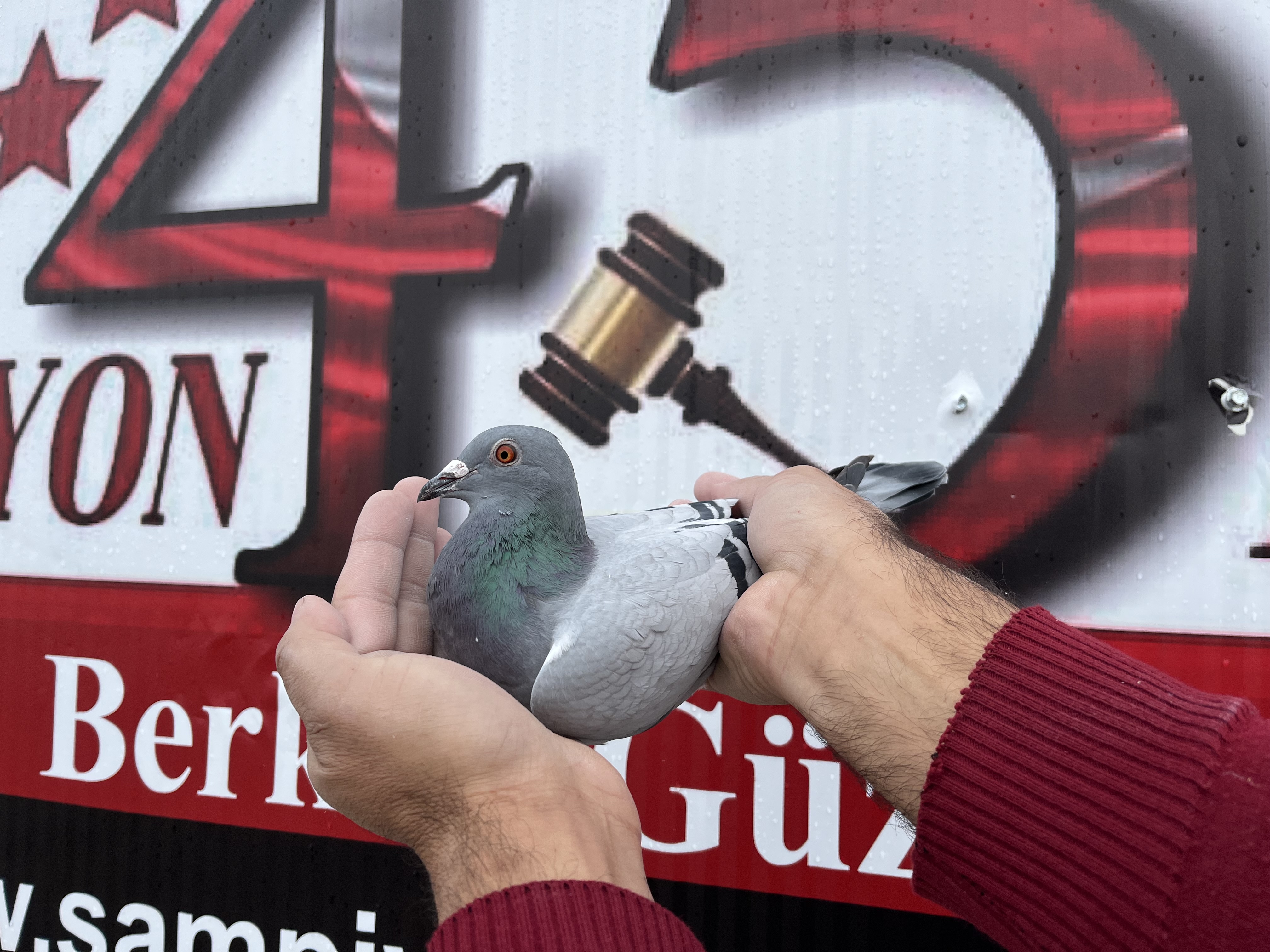 TR-24-35-01096 DİŞİ