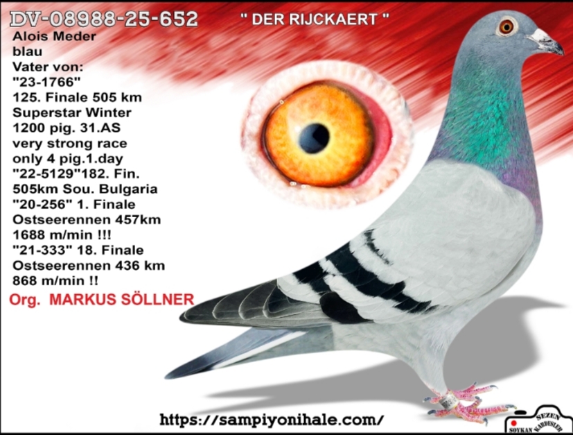 DV-08988-25-652 MARKUS SÖLLNER FCI ŞAMPİYONU 