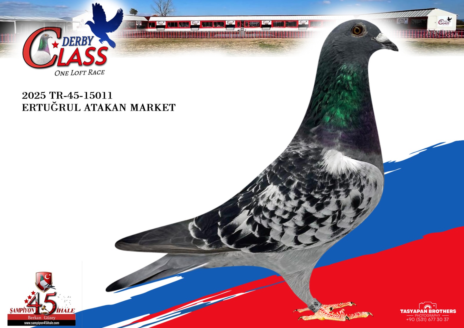 TR-45-15011 ERTUĞRUL ATAKAN MARKET 