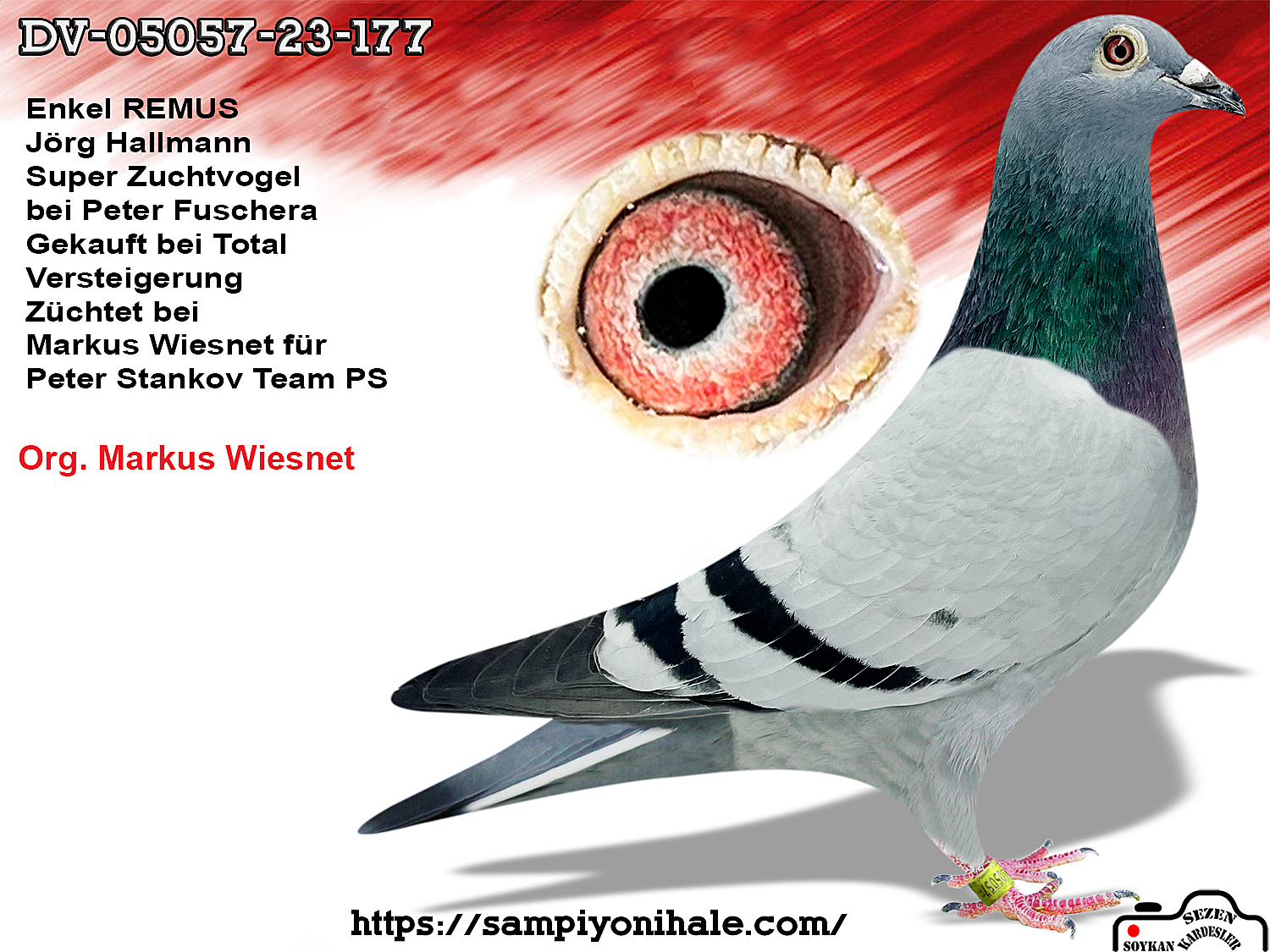 DV-05057-23-177 JÖRG HALLMANN REMUS