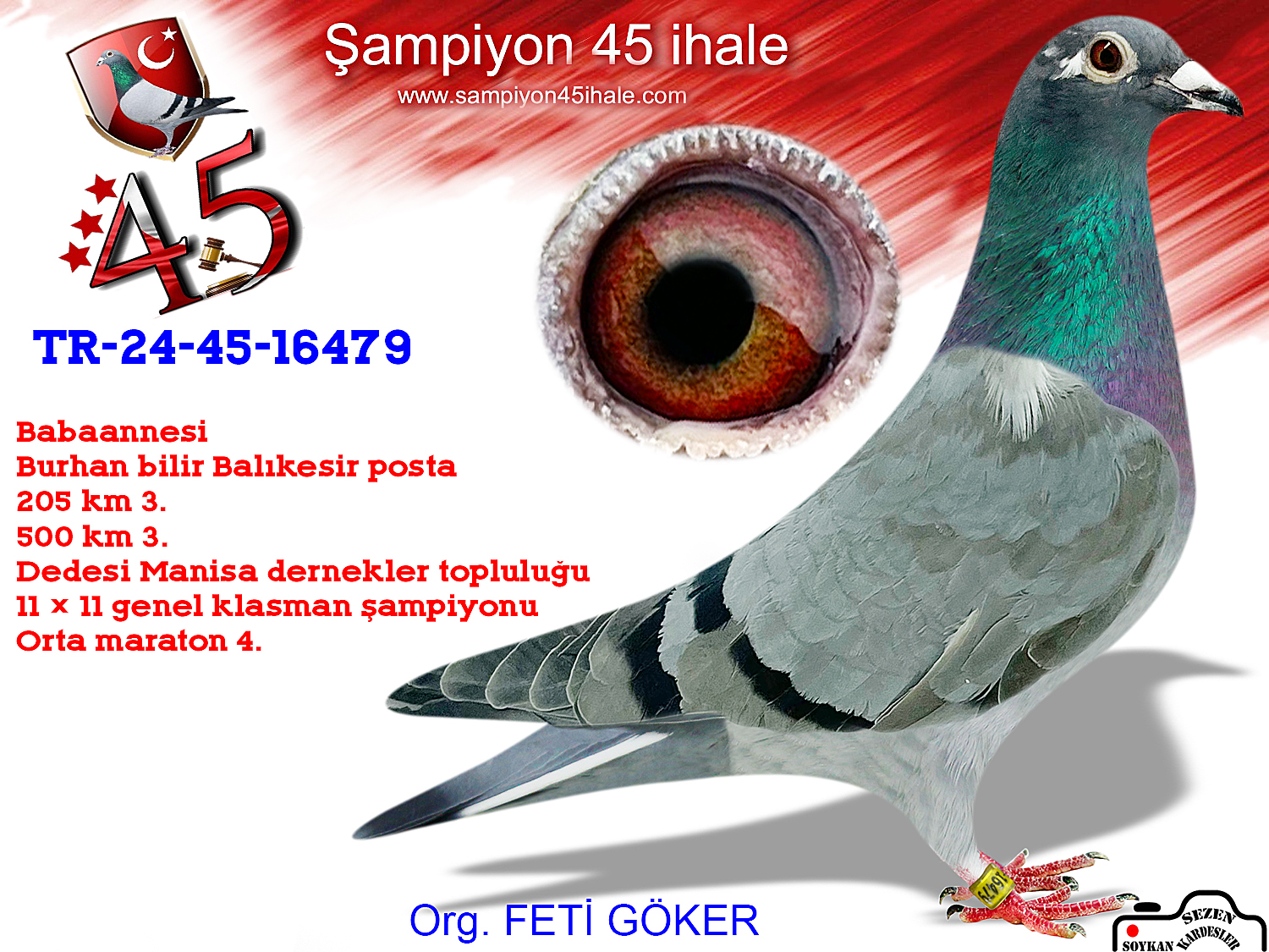 TR-24-45-16479 DİŞİ