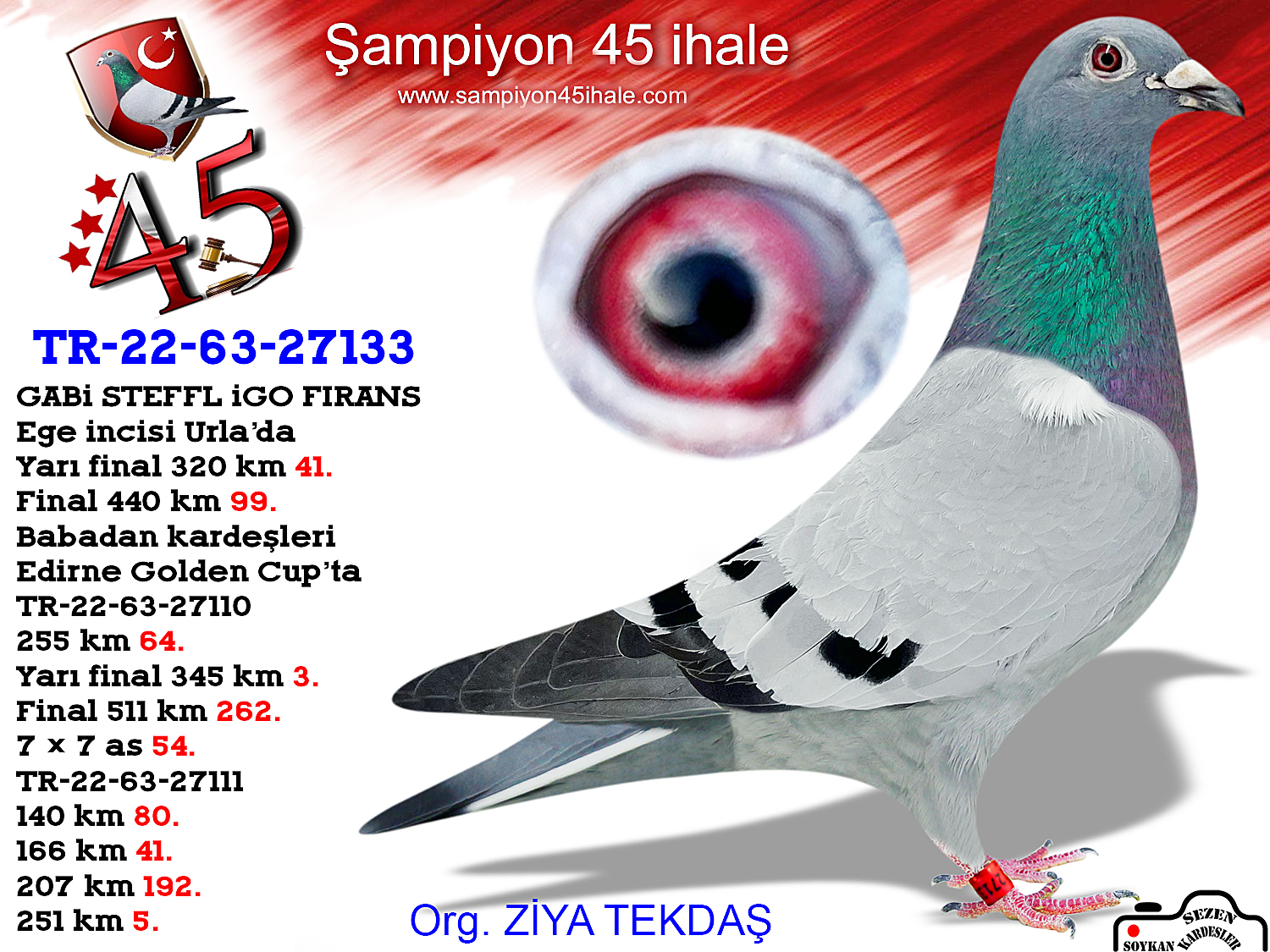 TR-22-63-27133 DİŞİ