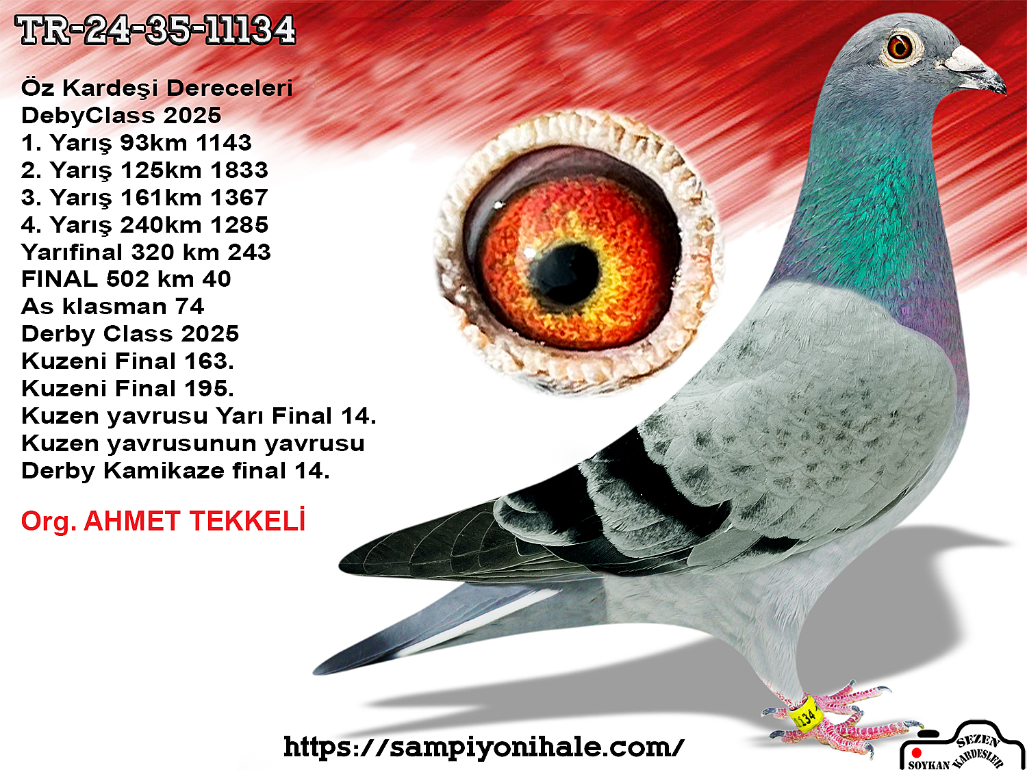 TR-24-35-11034 ORG AHMET TEKKELİ THOMAS 6